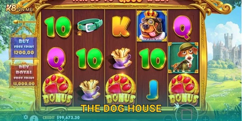 The Dog House: Niềm vui bất tận – Giải thưởng hấp dẫn tại K8 1 The Dog House: Niềm vui bất tận – Giải thưởng hấp dẫn tại K8