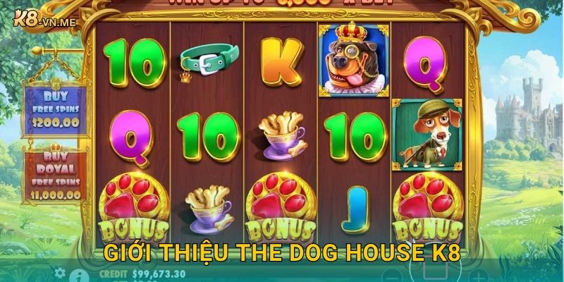 The Dog House: Niềm vui bất tận – Giải thưởng hấp dẫn tại K8 2 Giới thiệu The Dog House K8